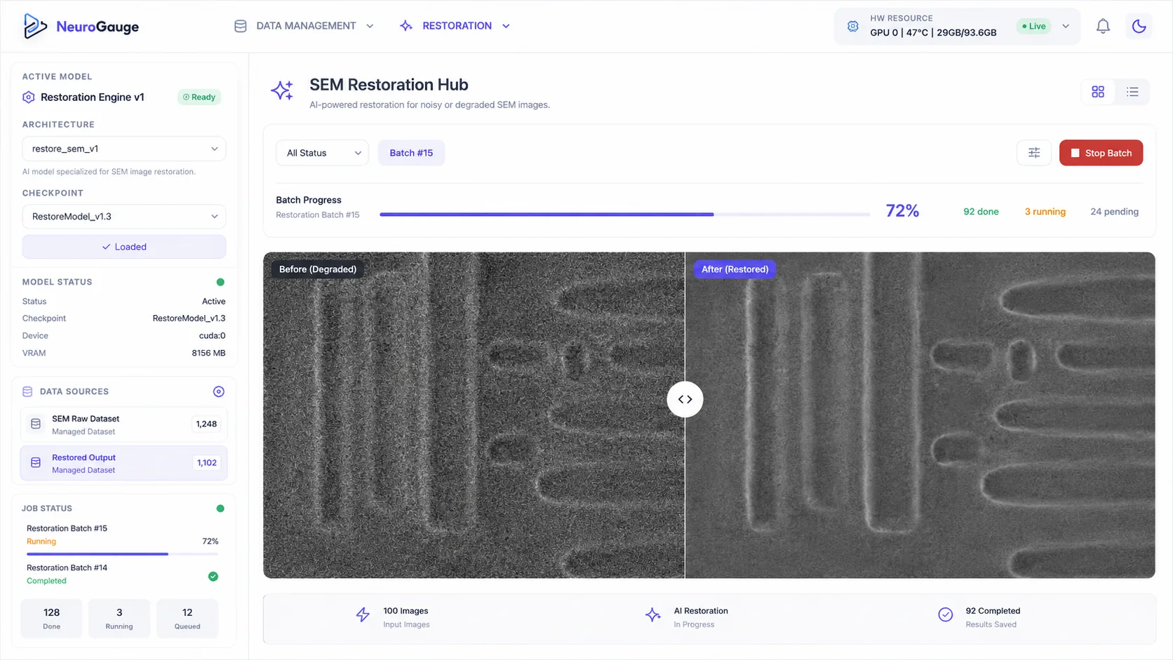 NeuroGauge SEM Restoration Hub 화면